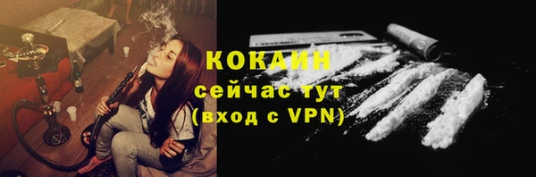 дживик Арсеньев