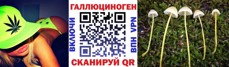 Купить  Бирюсинск  Галлюциногенные грибы Magic Shrooms 